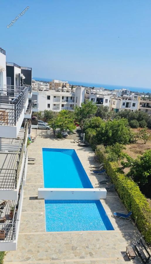 2 bedroom penthouse for rent geroskipou paphos 8963013 image 17824850