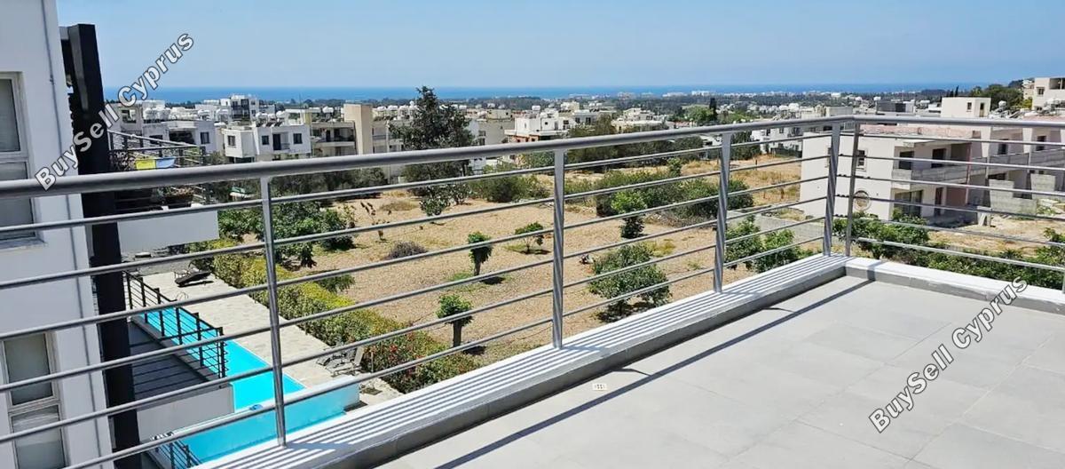 2 bedroom penthouse for rent geroskipou paphos 8963013 image 17824853