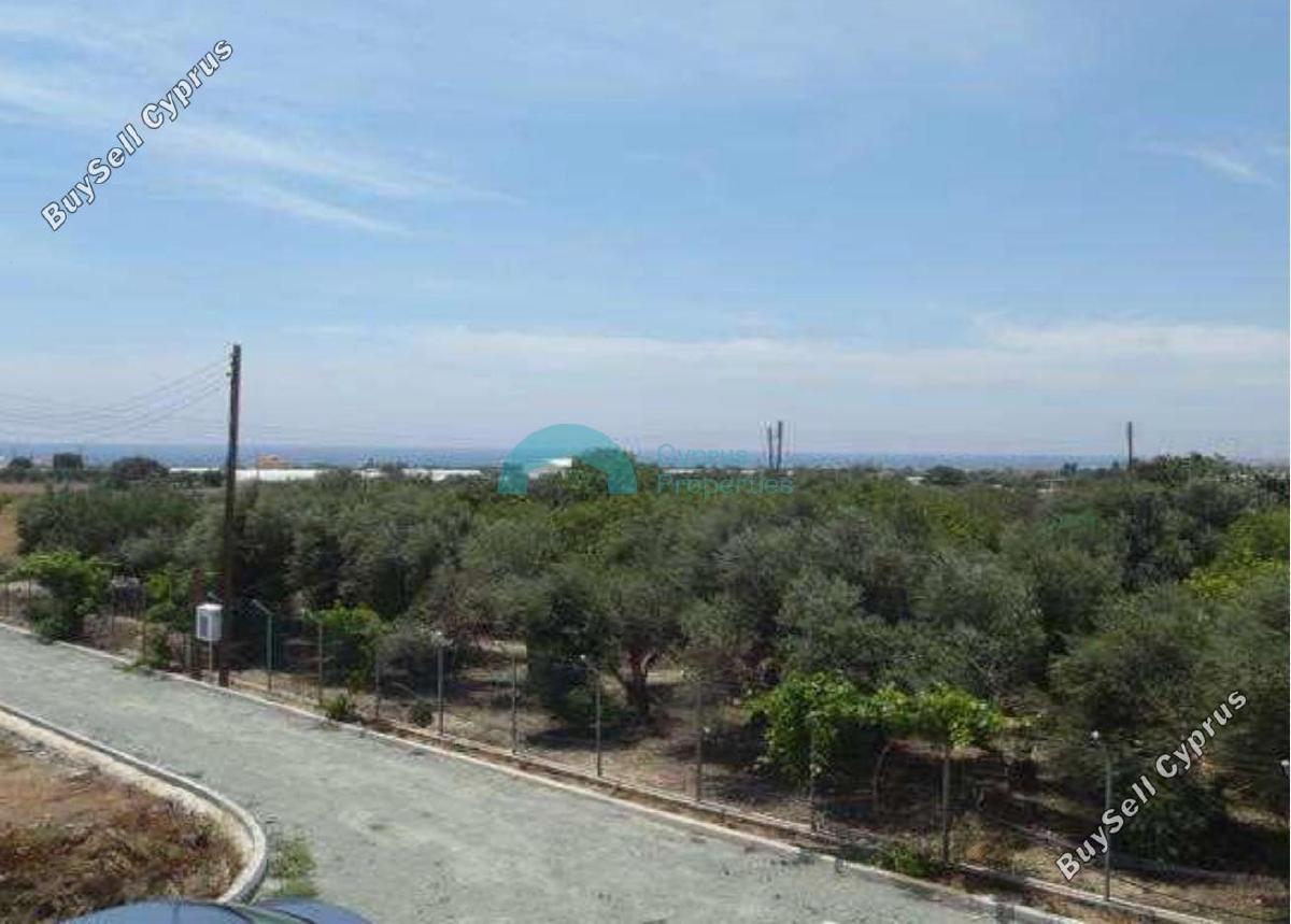 3 bedroom detached house for sale maroni larnaca 1029013 image 5426582