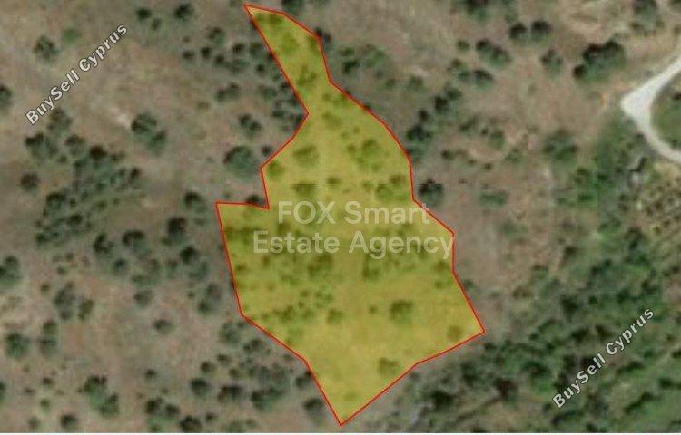 6021 SQM Plot for sale in Agios Theodoros Soleas, Nicosia 5165361