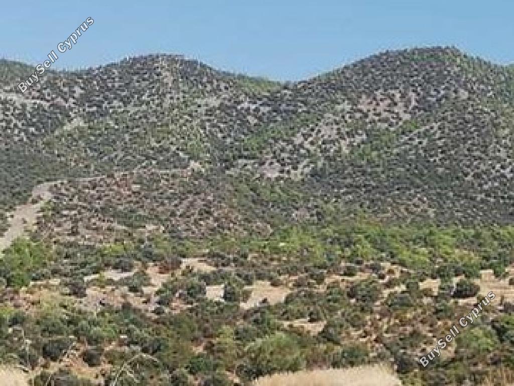 land for sale parekklisia limassol 858013 image 17071683