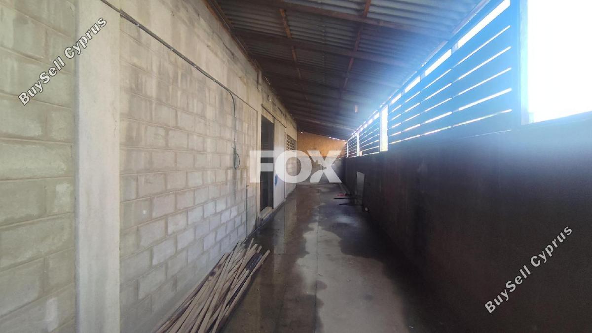studio warehouse for rent zakaki limassol 8404013 image 15123893