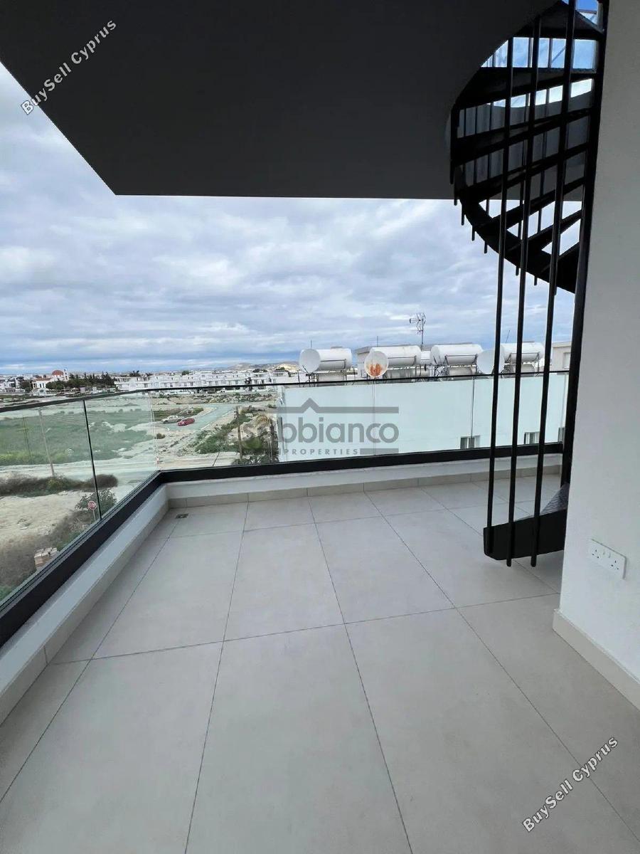 2 bedroom apartment for rent livadia larnacas larnaca 8738113 image 16359363