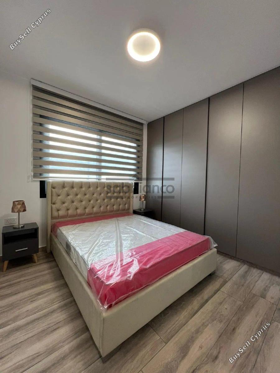 2 bedroom apartment for rent livadia larnacas larnaca 8738113 image 16359368