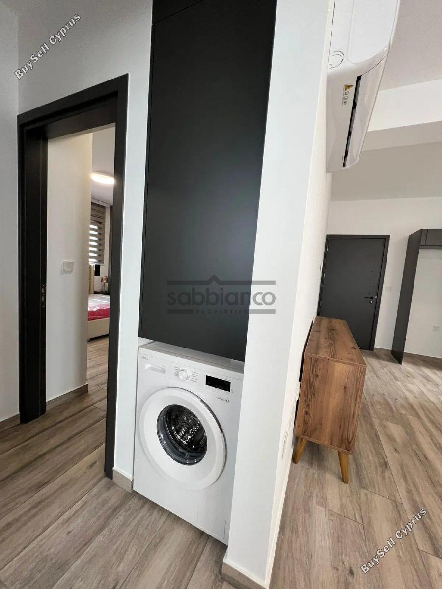 2 bedroom apartment for rent livadia larnacas larnaca 8738113 image 16359369