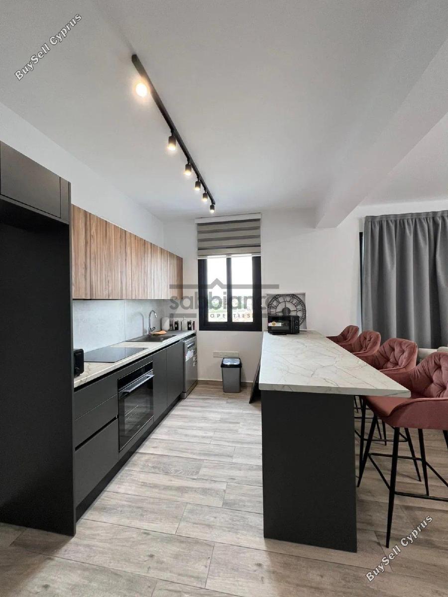 2 bedroom apartment for rent livadia larnacas larnaca 8738113 image 16359371