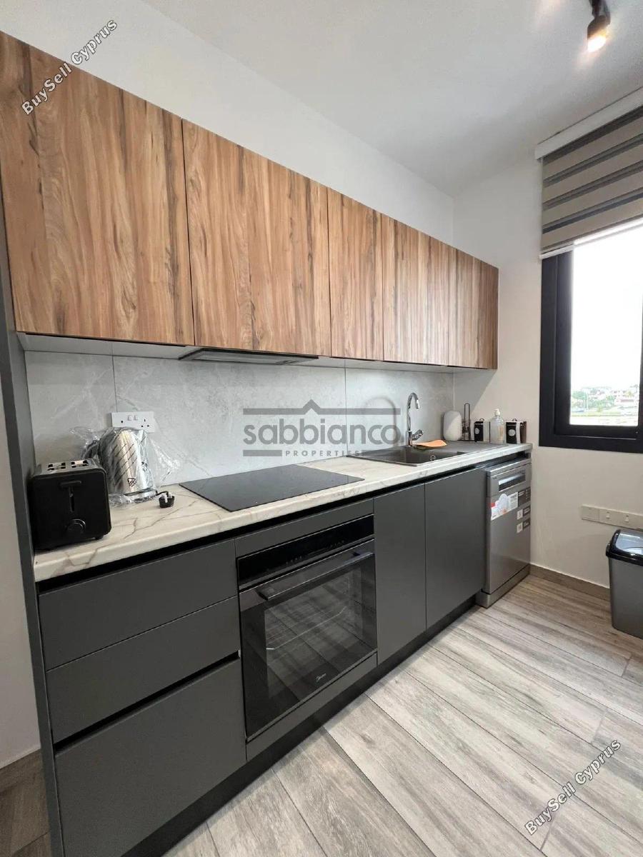 2 bedroom apartment for rent livadia larnacas larnaca 8738113 image 16359372
