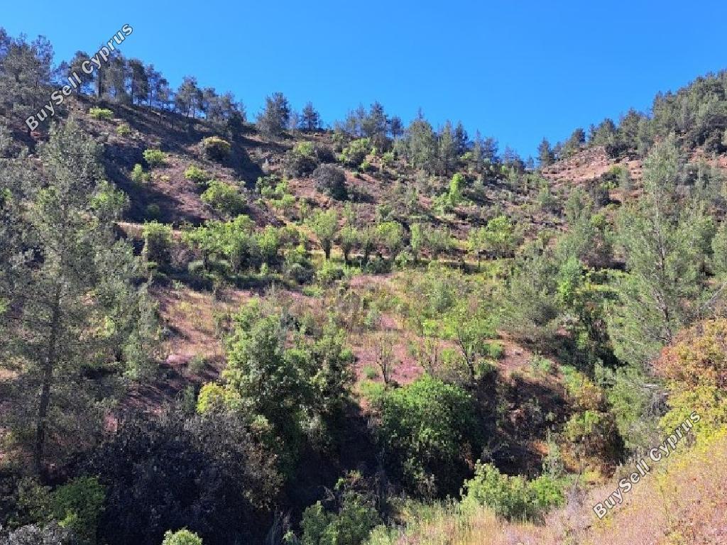 land for sale fterikoudi nicosia 1907113 image 7353417