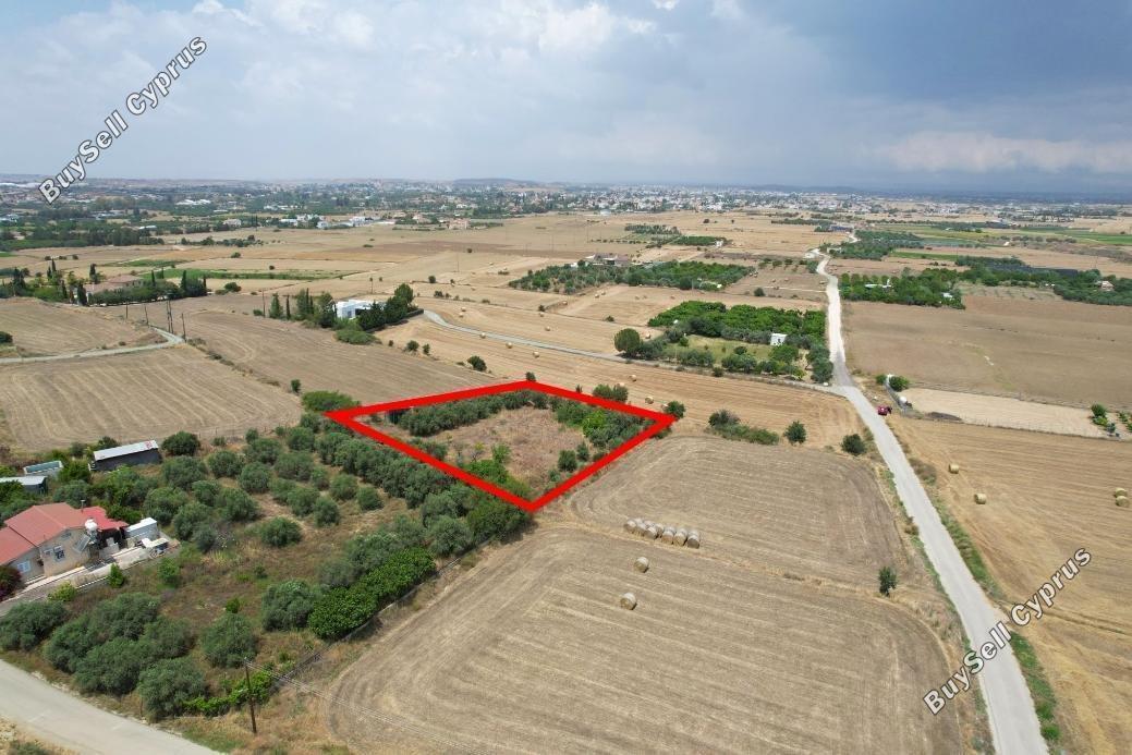 land for sale pera orinis nicosia 8225113 image 13764203