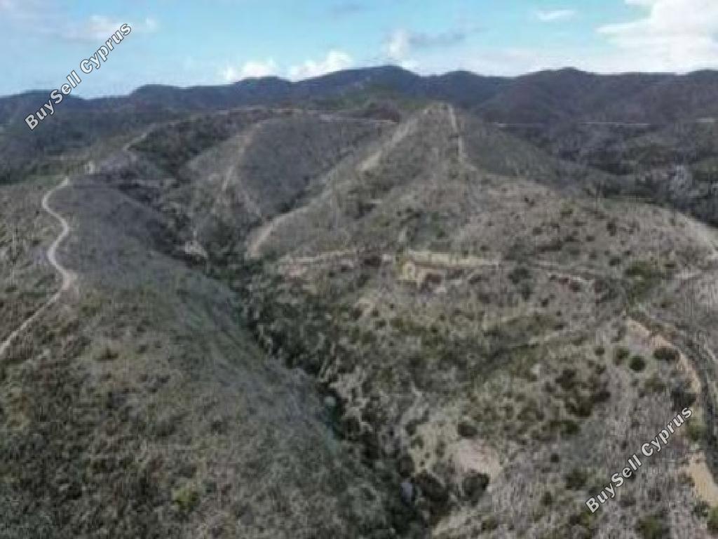 land for sale kalavasos larnaca 1701213 image 15596851