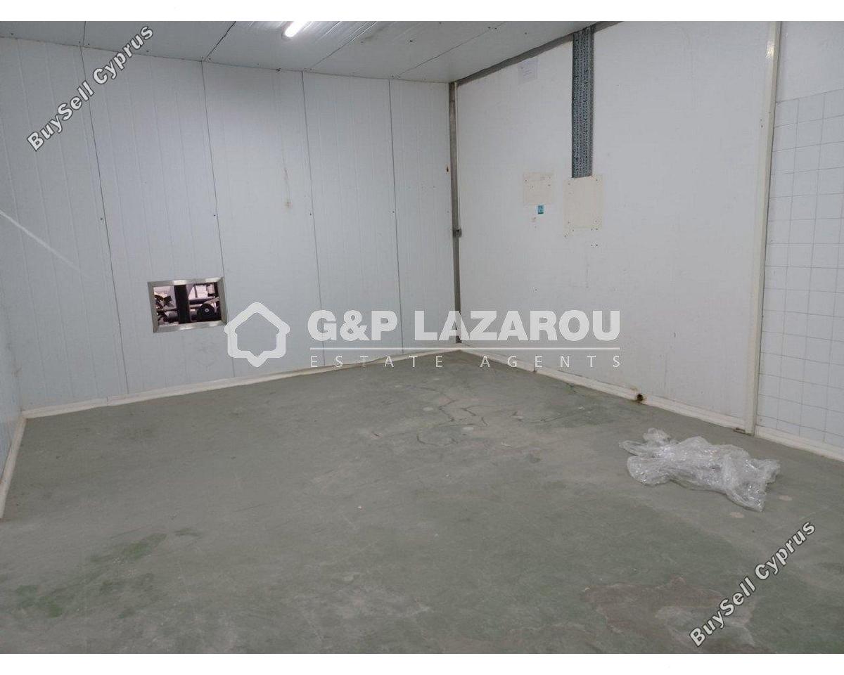 studio warehouse for rent kaimakli nicosia 7729213 image 10122068