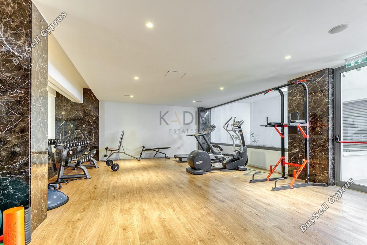 1 bedroom apartment for rent potamos germasogeias limassol 8302313 image 16338004