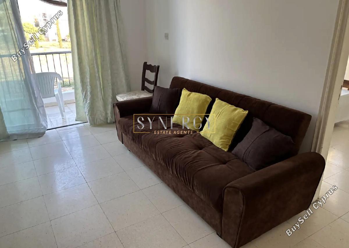 2 bedroom apartment for rent paphos municipality paphos 8711313 image 16281485