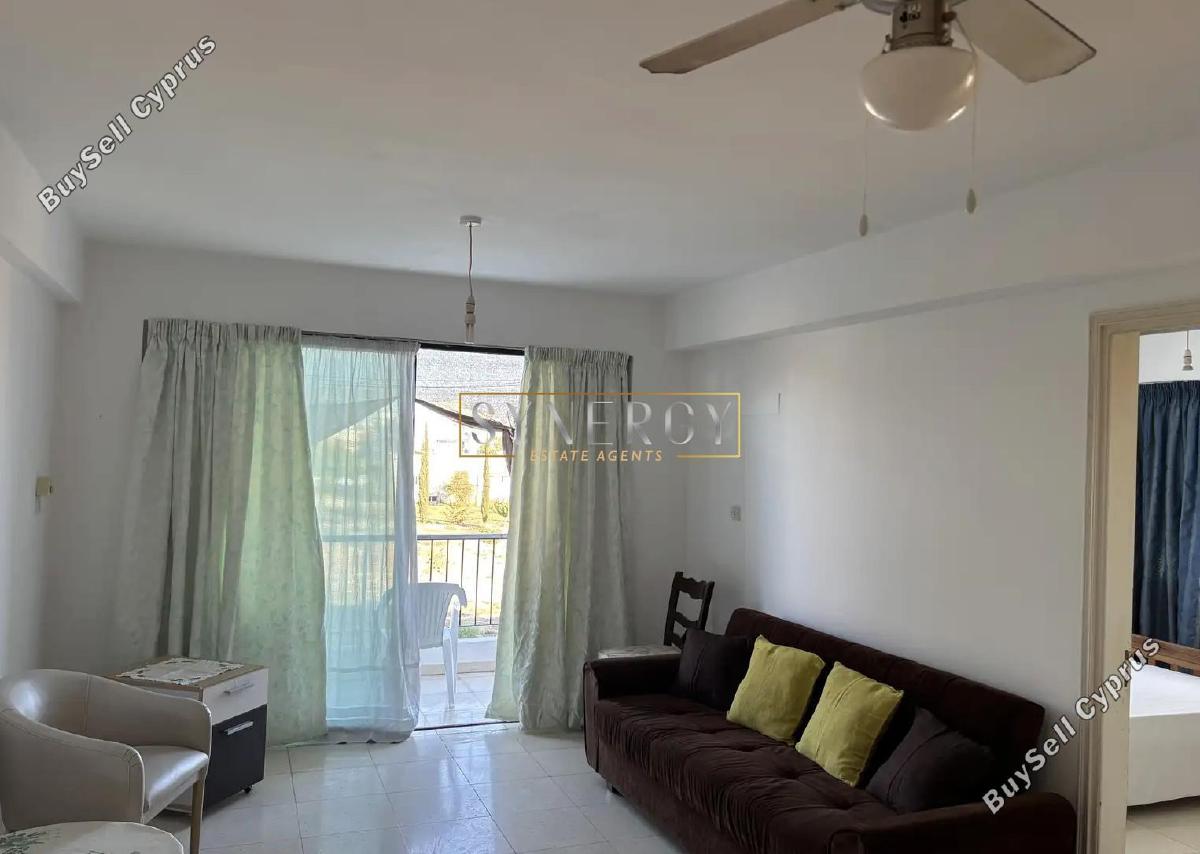 2 bedroom apartment for rent paphos municipality paphos 8711313 image 16281487