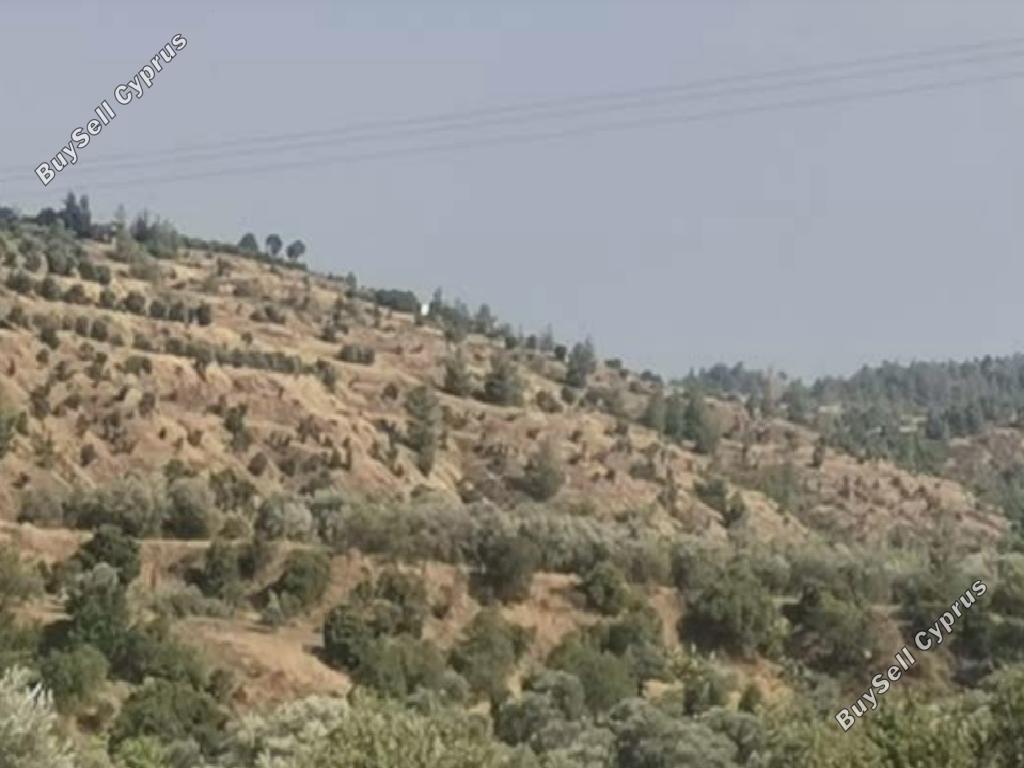 land for sale kampia nicosia 1336313 image 7339754