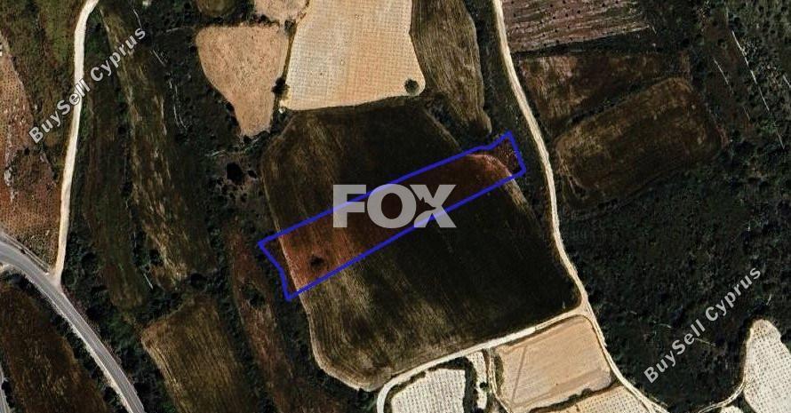 land for sale kathikas paphos 1301313 image 5588871