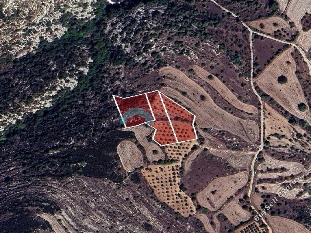 land for sale kritou tera paphos 1805313 image 6136446