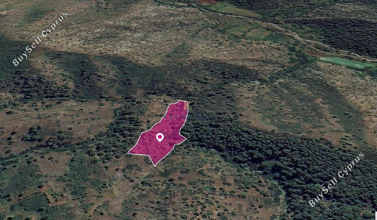 land for sale pigenia nicosia 1650313 image 5668073