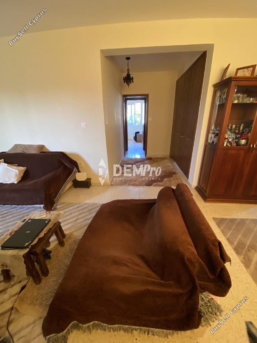 2 bedroom apartment for rent paphos municipality paphos 8844413 image 17075690