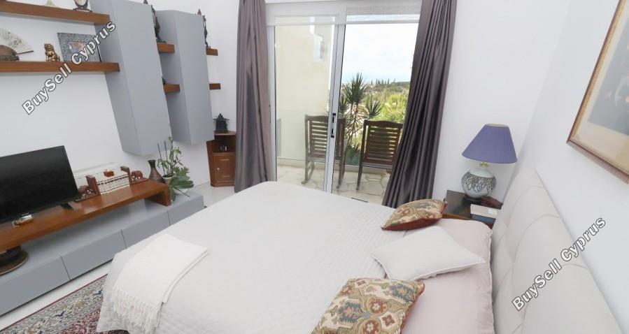 3 bedroom detached house off market tala paphos 8395413 image 16044389