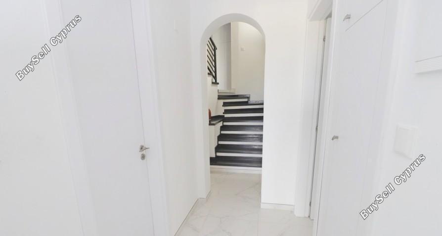 3 bedroom detached house off market tala paphos 8395413 image 16044391