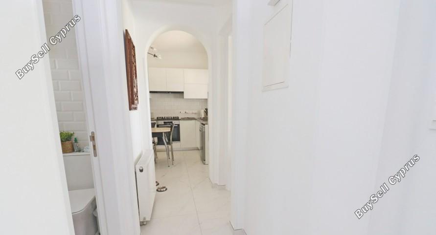 3 bedroom detached house off market tala paphos 8395413 image 16044395