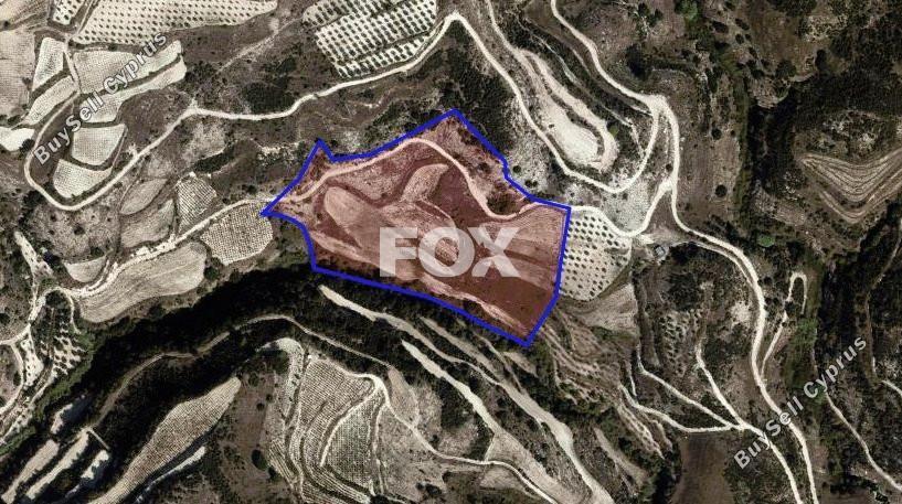 30101 SQM Land for sale in Letymvou, Paphos 5583479