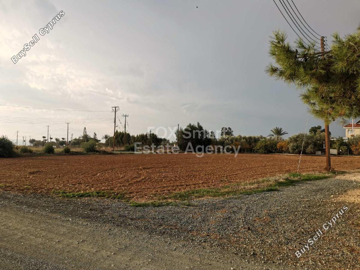 land for sale agios theodoros larnacas larnaca 1239513 image 16518539