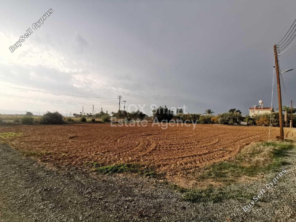 land for sale agios theodoros larnacas larnaca 1239513 image 16518542