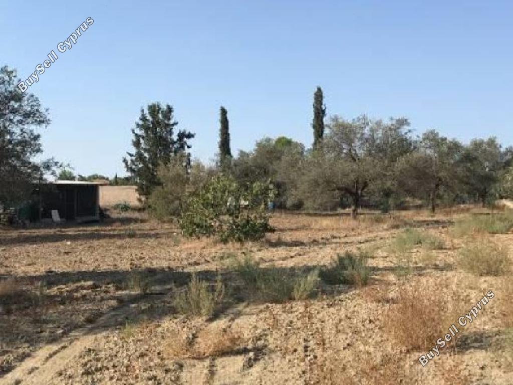 land for sale latsia nicosia 823513 image 15603080