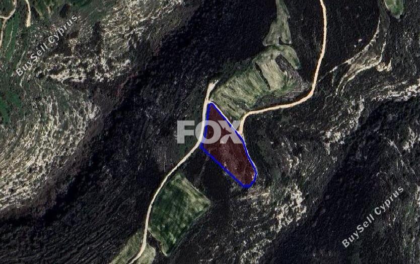 land for sale pano arodes paphos 1835513 image 14830328