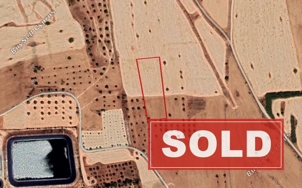 land sold athienou larnaca 930513 image 2830020