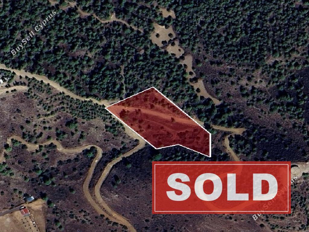 land sold shia nicosia 1689513 image 4427622