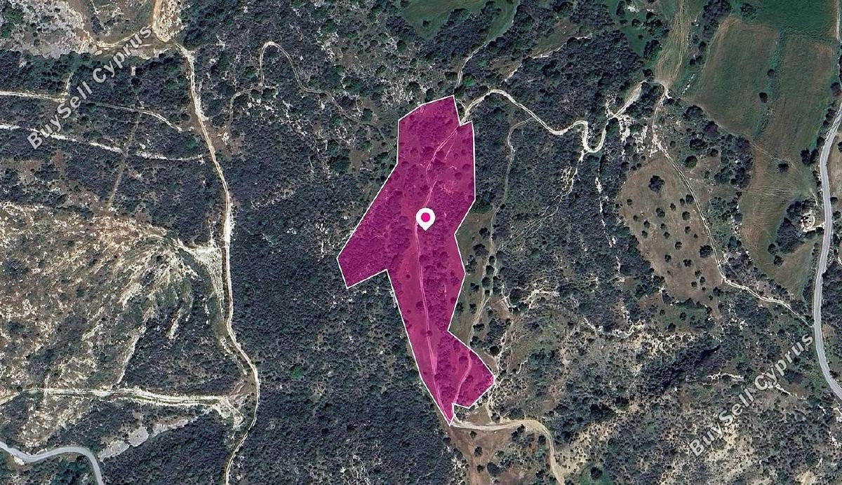 land for sale agios isidoros paphos 8237613 image 14231404