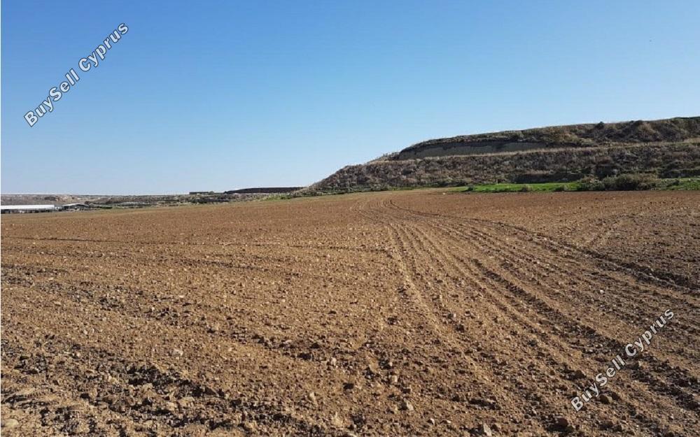 land for sale dali nicosia 829613 image 15664116