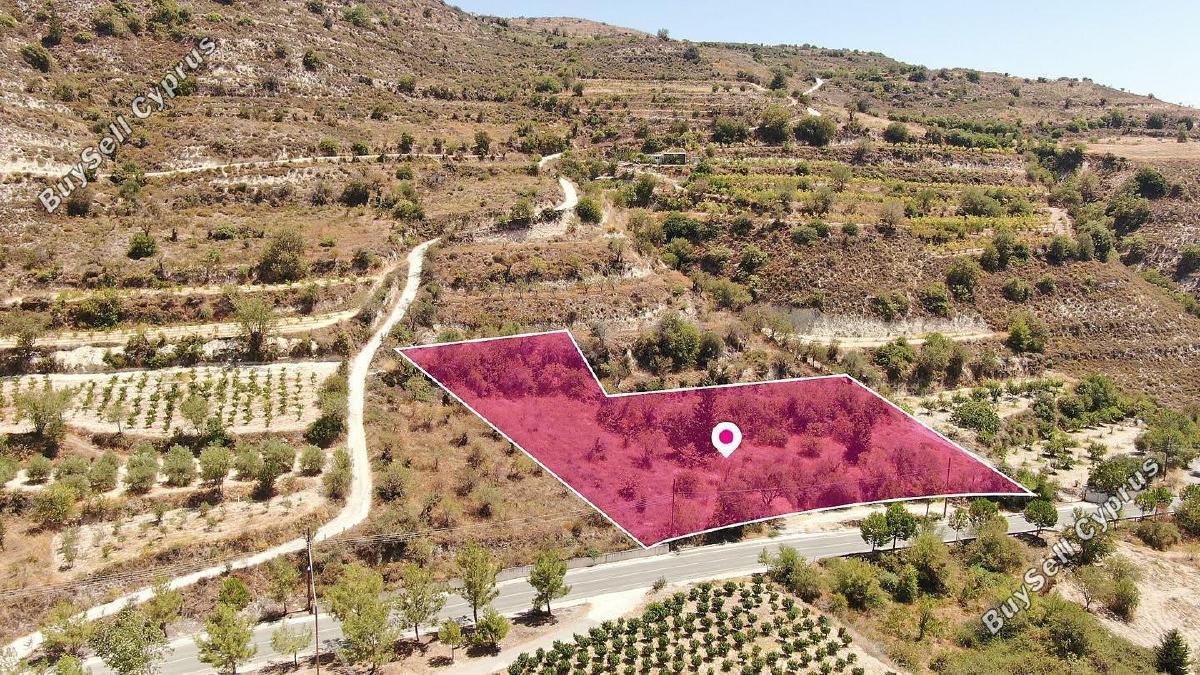 land for sale praitori paphos 1897613 image 14206843