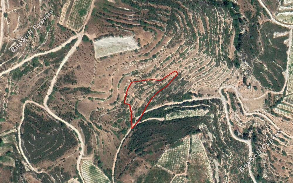 land for sale koilani limassol 828713 image 11082275