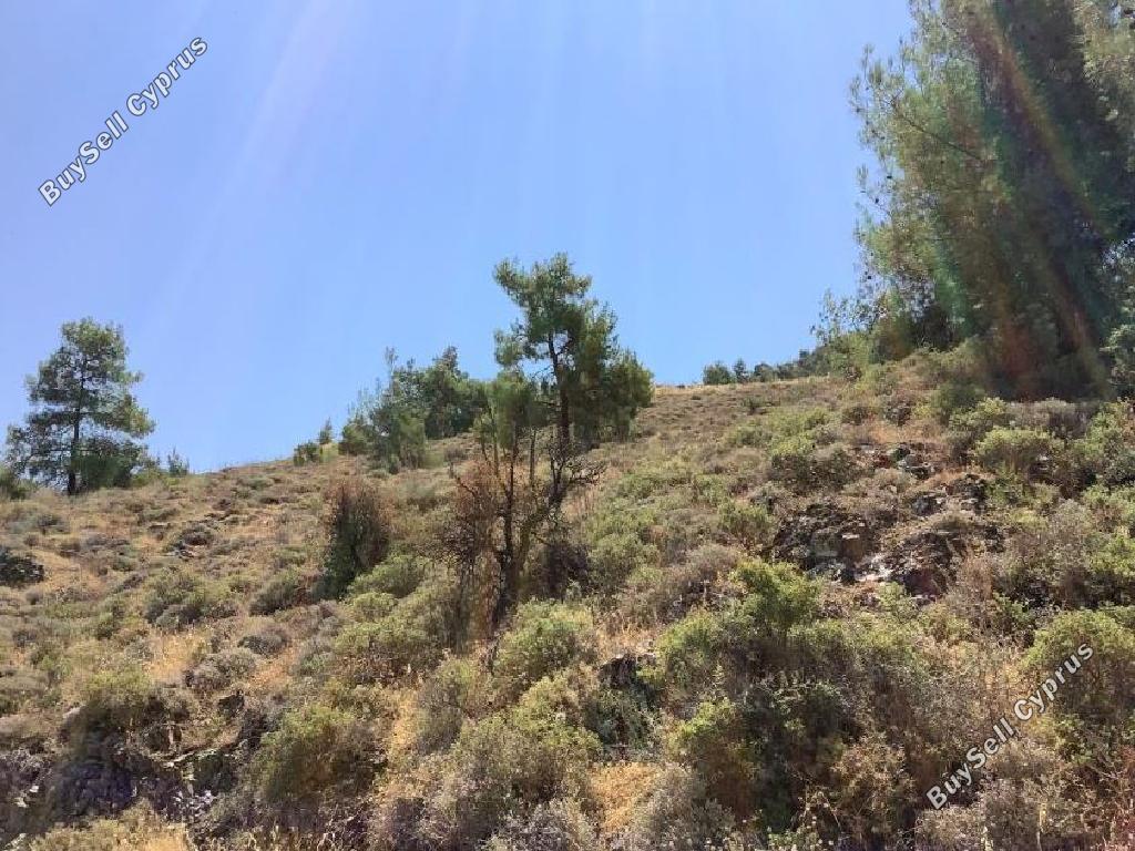 31327 SQM Land for sale in Agios Theodoros Soleas, Nicosia 15600616