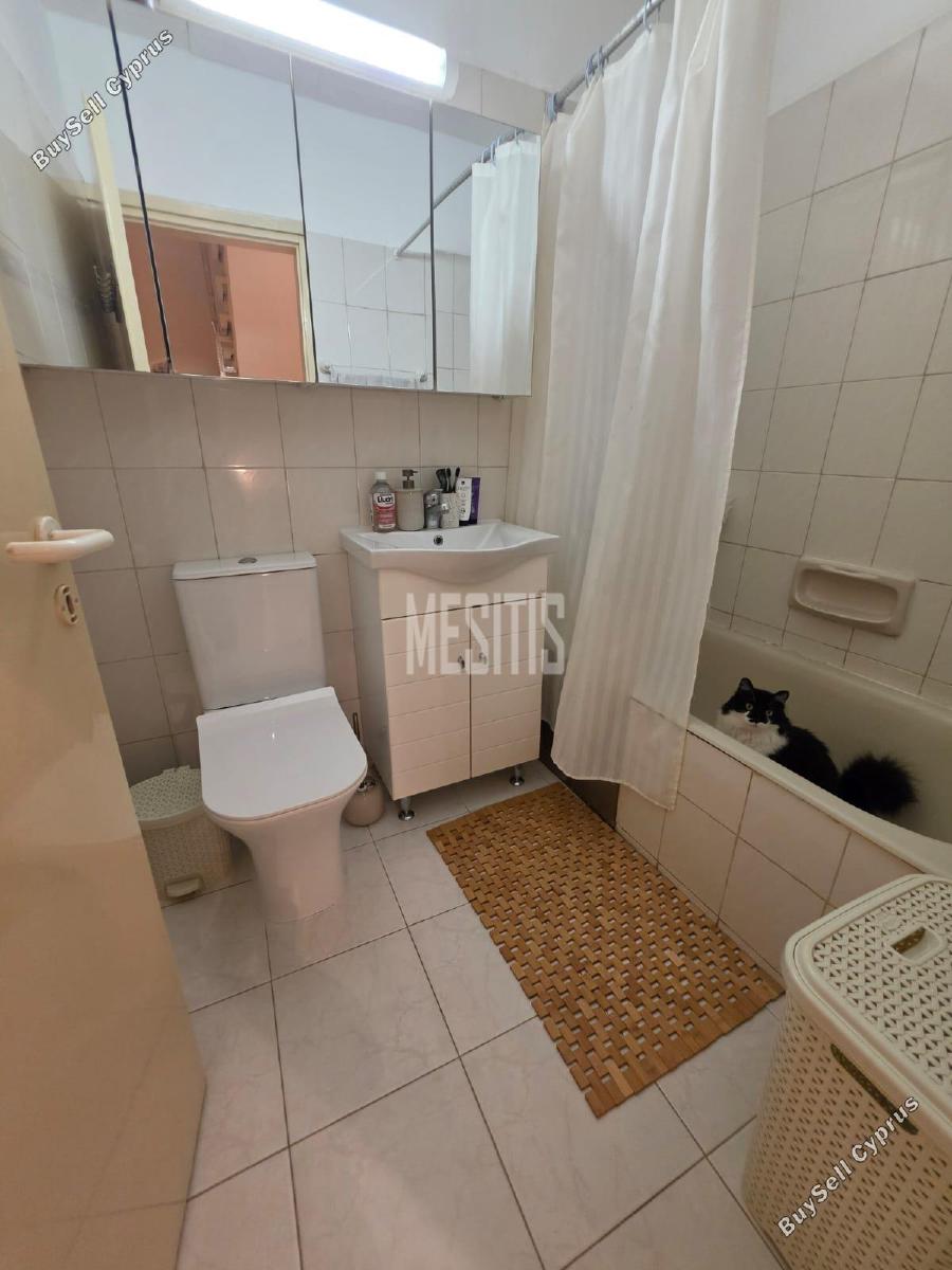 3 bedroom detached house for sale dekeleia larnaca 8798813 image 16724962