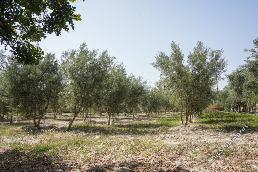 5 bedroom detached house for sale alethriko larnaca 7734813 image 10162979