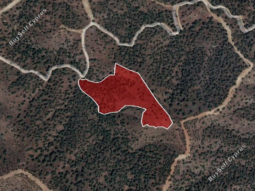 land for sale agios theodoros soleas nicosia 945813 image 15600615