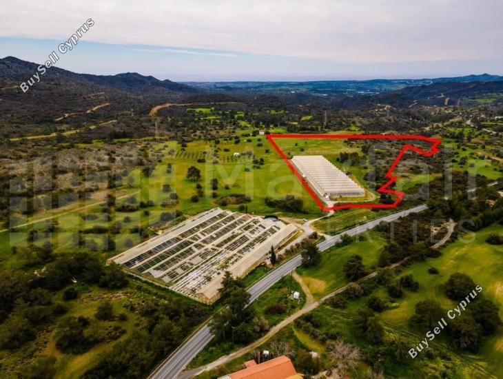 land for sale kornos larnaca 7871813 image 11382679