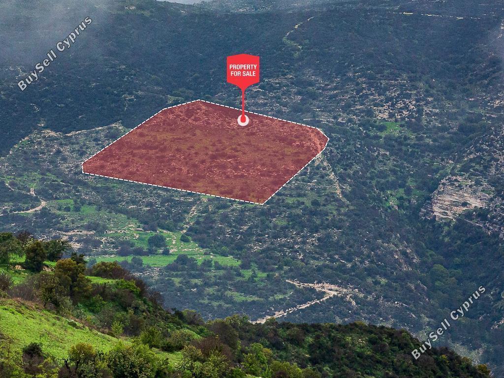 19064 SQM Land for sale in Akoursos, Paphos 15595013