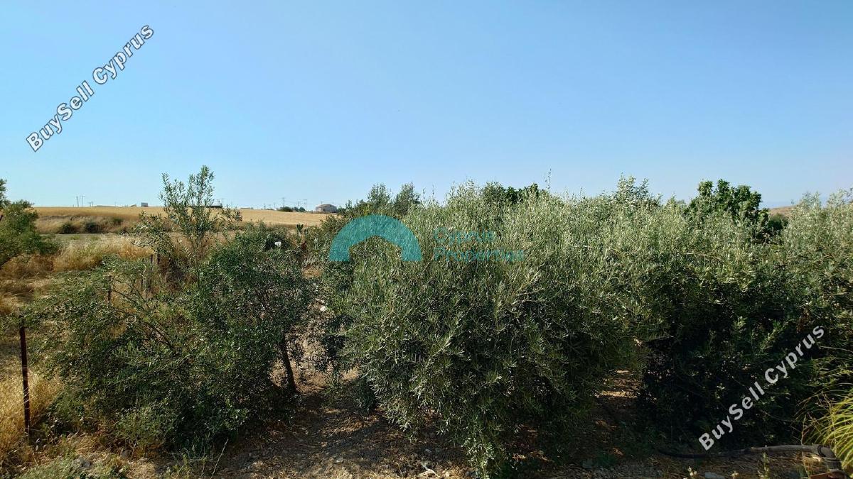 4 bedroom detached house for sale arediou nicosia 8971913 image 17873252