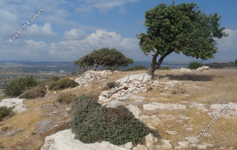 land for sale pissouri limassol 828913 image 11081637