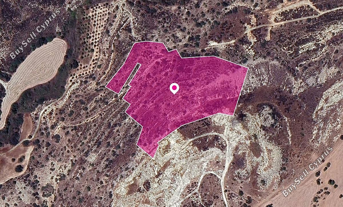 land for sale skarinou larnaca 1172913 image 2603817