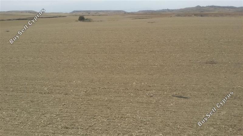 11706 SQM Land for sale in Agia Varvara Nicosias, Nicosia 16159247