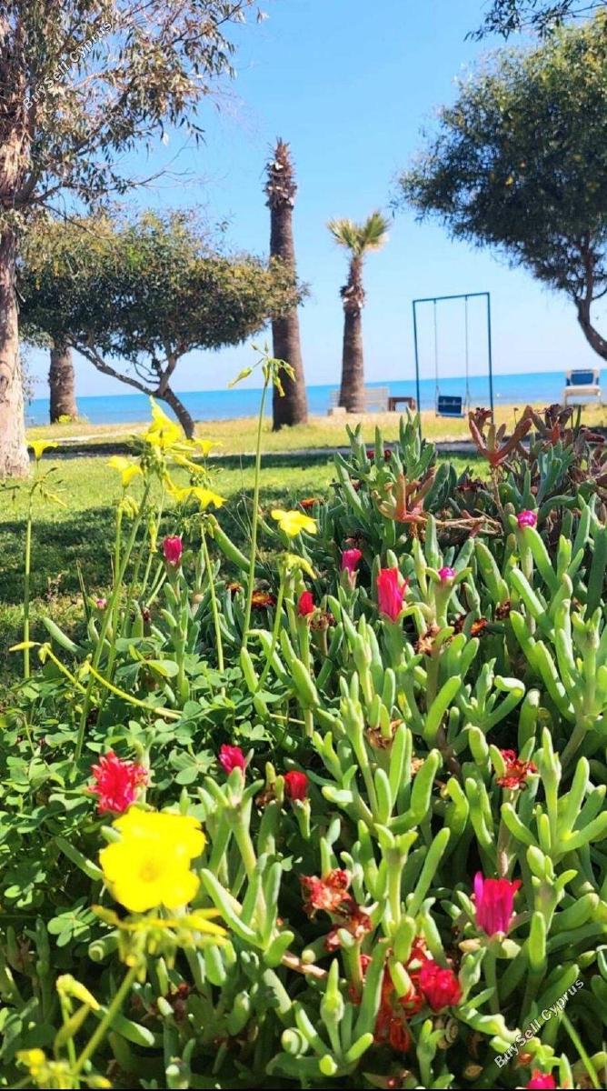 2 bedroom semi detached house for rent meneou larnaca 8711023 image 16274244
