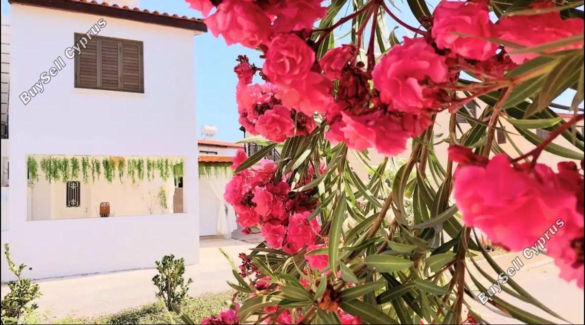 2 bedroom semi detached house for rent meneou larnaca 8711023 image 16274246