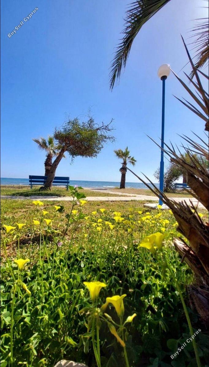 2 bedroom semi detached house for rent meneou larnaca 8711023 image 16274264